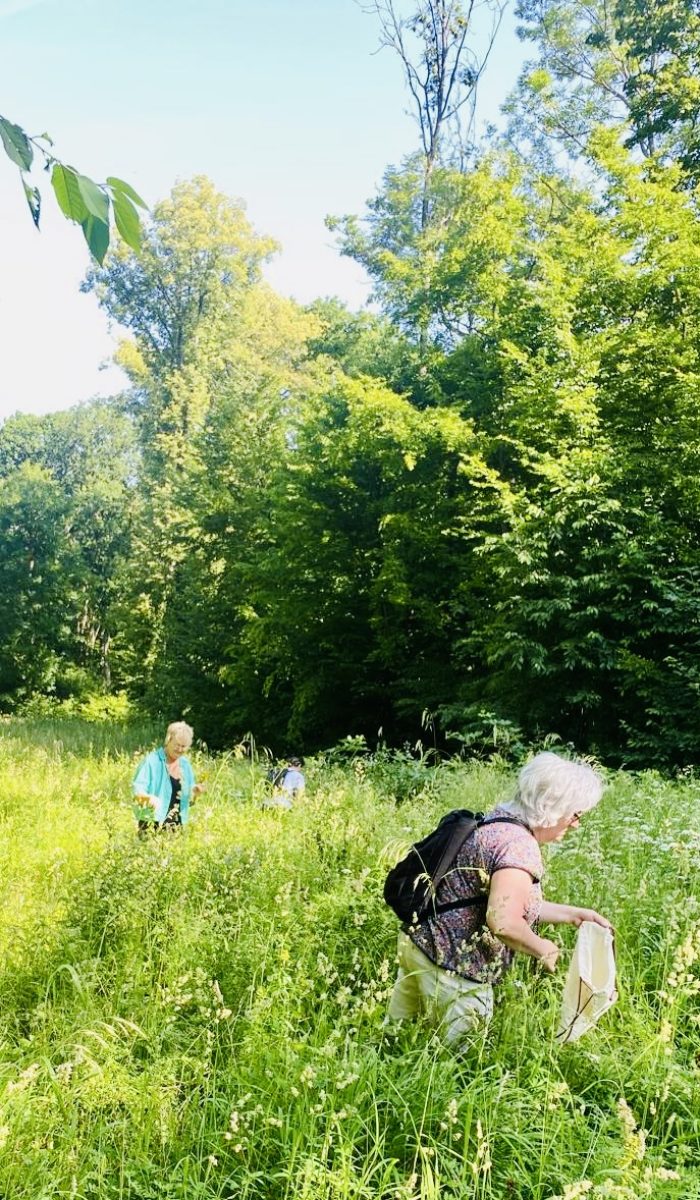 Eine Kräuterwanderung mit Isa Busch